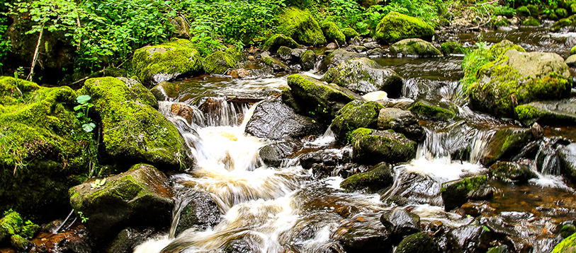 fluss